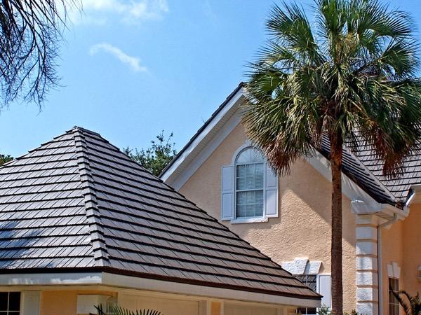 Residential home with shingle roof and palm tree