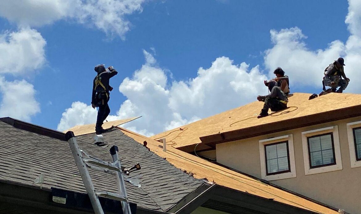 Roor repair man working in roof